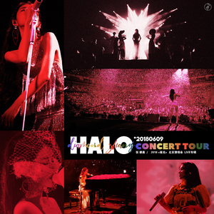 礼包共享小鲤导航
