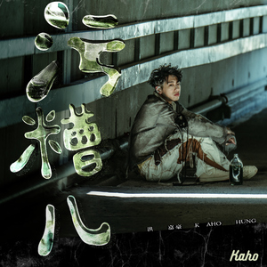 礼包共享小鲤导航
