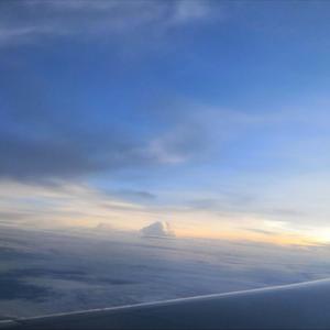 礼包共享小鲤导航
