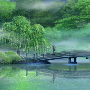 礼包共享小鲤导航
