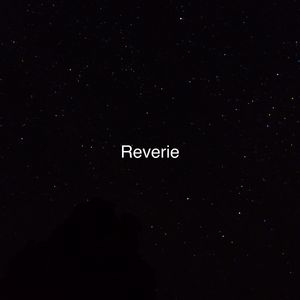 礼包共享小鲤导航
